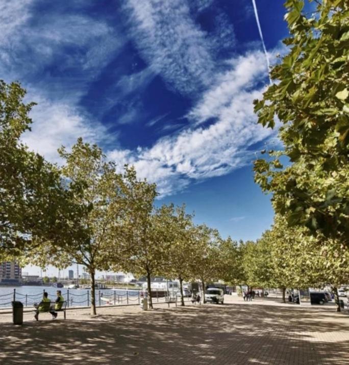 Lovely Waterfront Flat Canary Wharf Excel Centre Lejlighed London Eksteriør billede